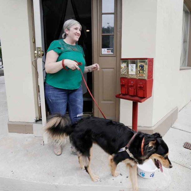 In Mount Airy, this commercial strip has gone to the dogs, but in a good way
