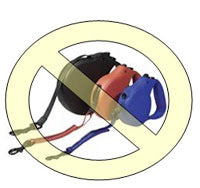 Our policy against the use of flexible leashes.