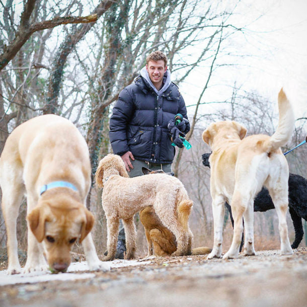 The Best Philadelphia Dog Walkers: Lessons Learned from 15 Years in the Business.
