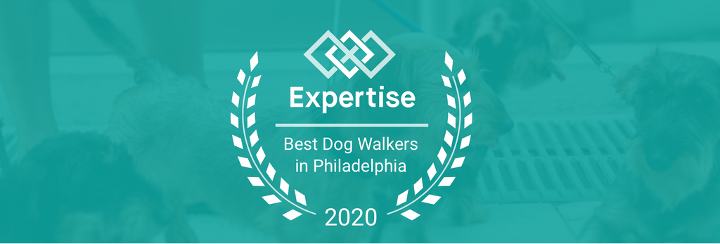 Queenie's Pets listed as Top 20 dog walkers in Philadelphia