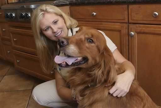 Grieving pet owners find loving support