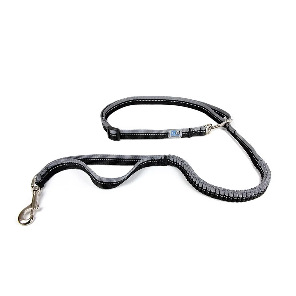 Canine equipment leash on sale