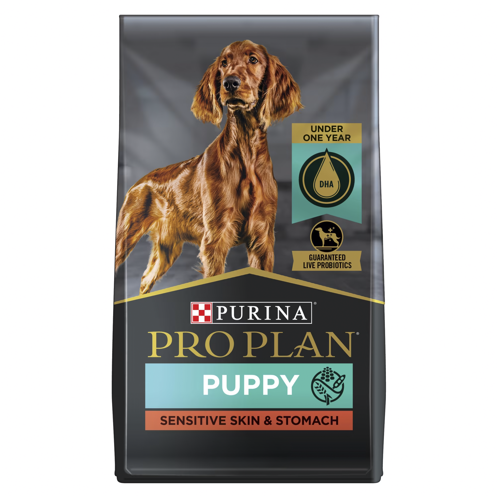 Pro plan focus salmon and rice hot sale