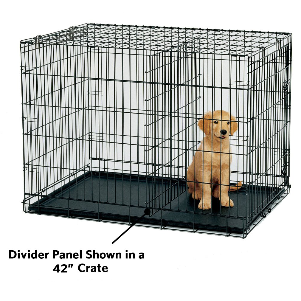 Midwest iCrate 42 Folding Metal Dog Crate w Divider Panel Queenie s Pets