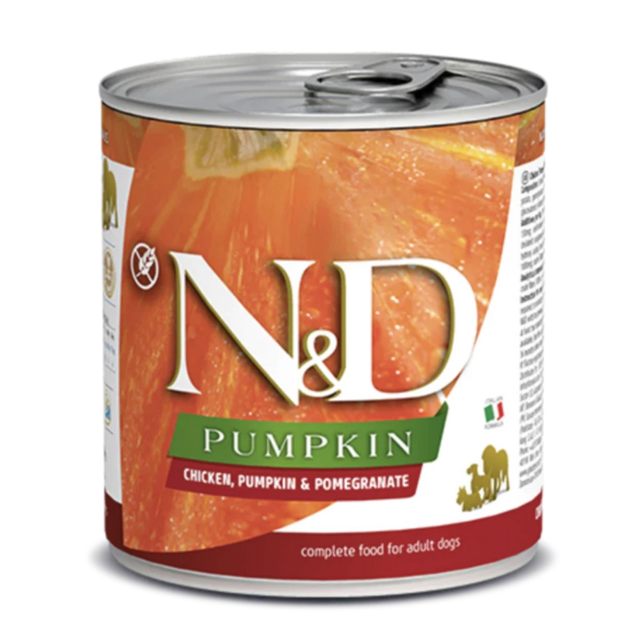Canned dog online food with pumpkin