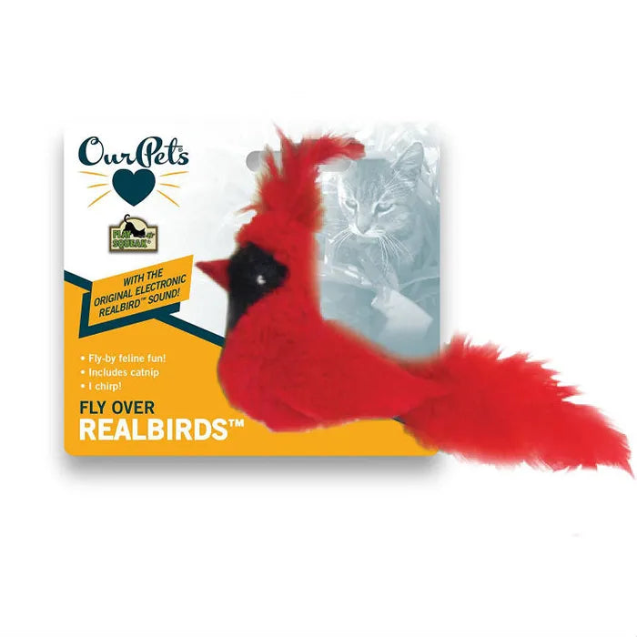OurPets Real Birds Cat Toy