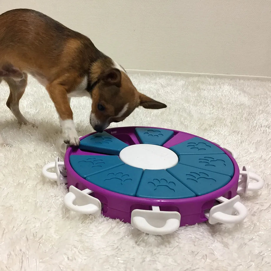 Outward Hound Twister Interactive Treat Puzzle Dog Toy, Purple, One-Size 